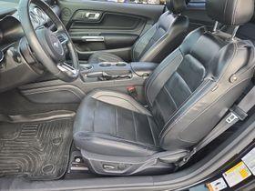 Shadow Black 2019 Ford Mustang GT Premium