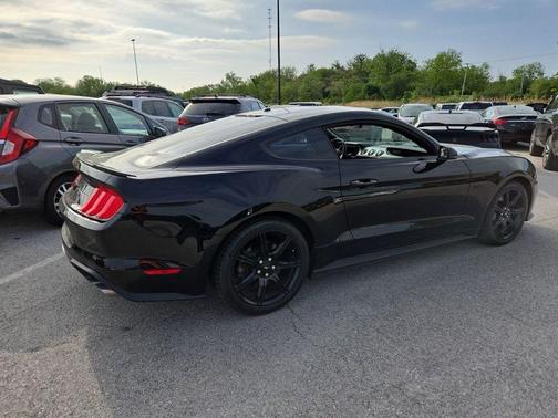 Shadow Black 2019 Ford Mustang GT Premium