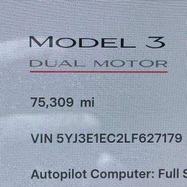 Gray 2020 Tesla Model 3 Performance