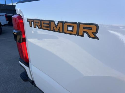 2023 Ford F-350 Platinum