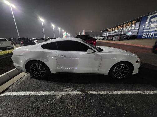2023 Ford Mustang EcoBoost