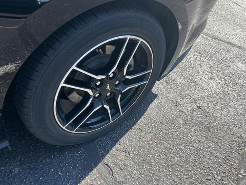 2021 Ford Mustang EcoBoost