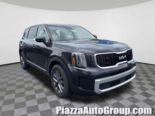 Panthera Metal 2025 Kia Telluride LX