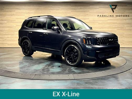 Panthera Metal 2025 Kia Telluride EX X-Line