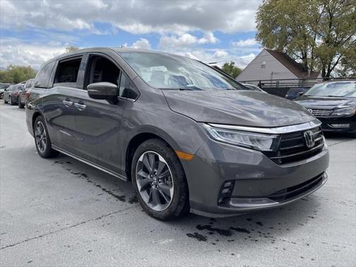 2023 Honda Odyssey Elite