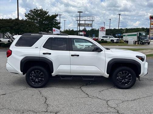 Ice Cap (040) 2025 Toyota 4Runner SR5