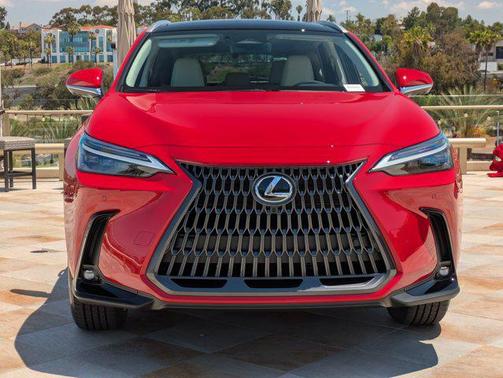 2025 Lexus NX 350h Luxury