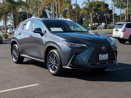 2025 Lexus NX 350h Premium