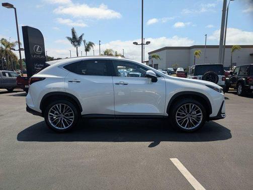 2025 Lexus NX 350h Luxury