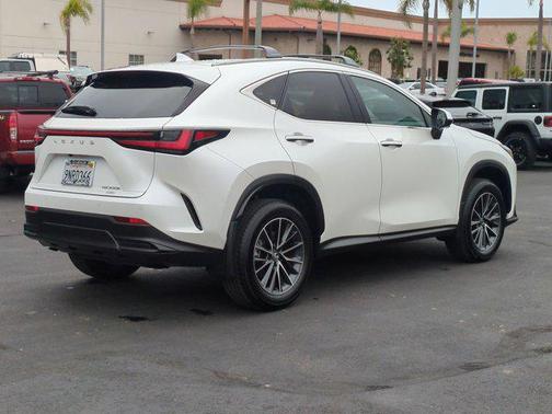 2025 Lexus NX 350h Premium