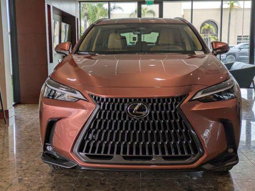 2025 Lexus NX 250 Premium