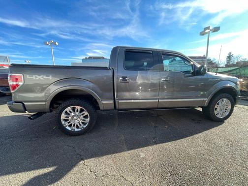 2013 Ford F-150 Platinum