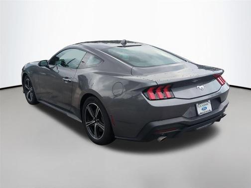 Carbonized Gray Metallic 2024 Ford Mustang EcoBoost