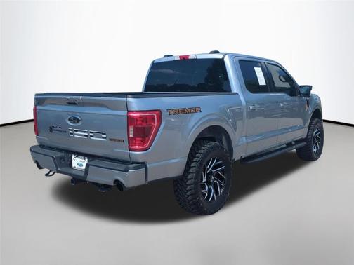 Iconic Silver Metallic 2023 Ford F-150 Tremor