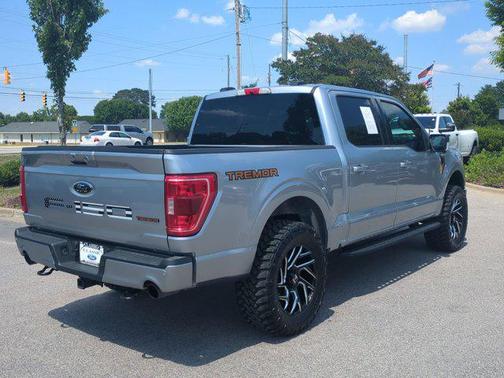 Iconic Silver Metallic 2023 Ford F-150 Tremor