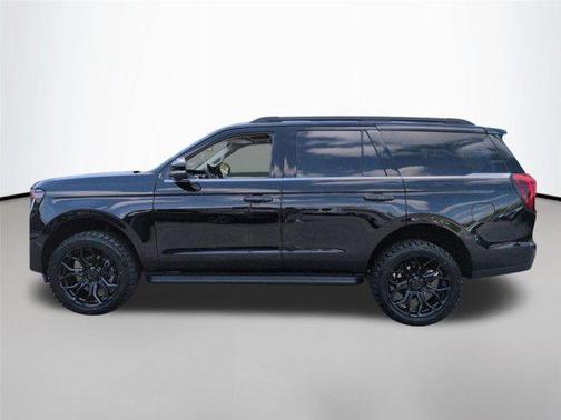 Black Metallic 2025 Ford Expedition Active