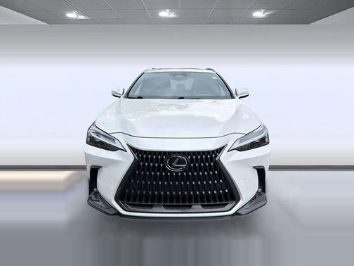 Eminent White Pearl 2024 Lexus NX 250 Premium