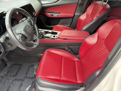 Eminent White Pearl 2024 Lexus NX 250 Premium