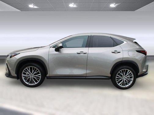 2023 Lexus NX 350 Luxury