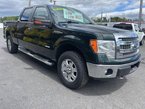 Green Gem Metallic 2013 Ford F-150 XLT
