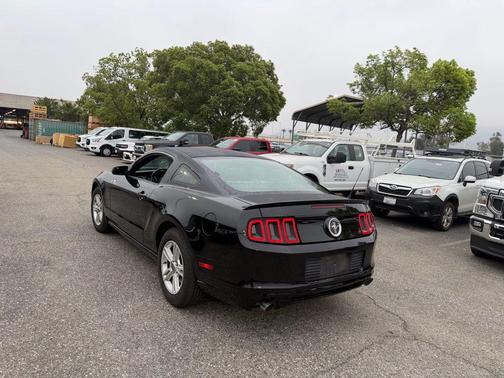 2014 Ford Mustang V6