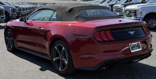 2021 Ford Mustang EcoBoost