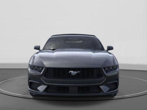 SHADOW BLACK 2026 Ford Mustang EcoBoost