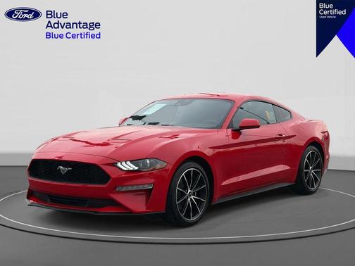 2022 Ford Mustang EcoBoost
