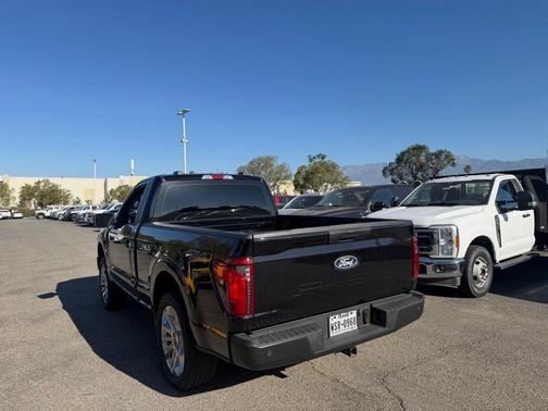Black Metallic 2025 Ford F-150 XL