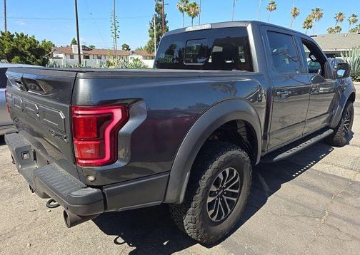Magnetic 2019 Ford F-150 Raptor