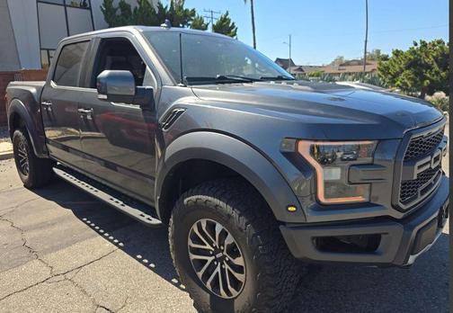 Magnetic 2019 Ford F-150 Raptor