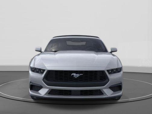 Avalanche Gray 2026 Ford Mustang EcoBoost