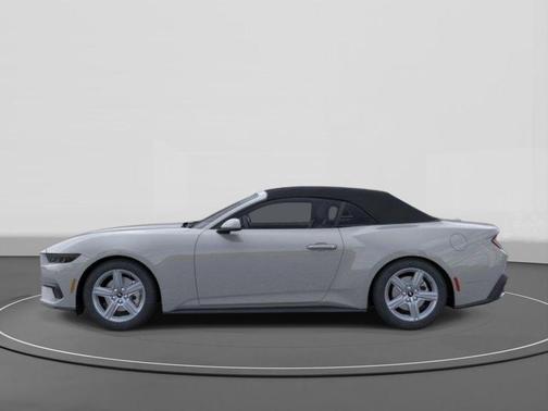 Avalanche Gray 2026 Ford Mustang EcoBoost