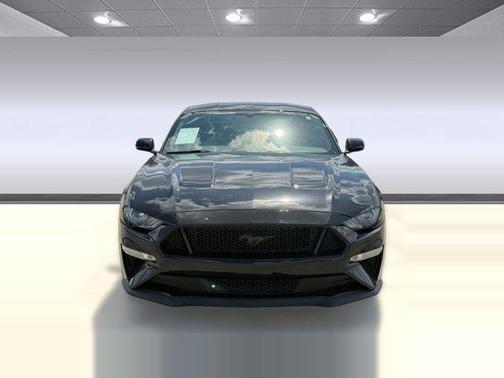 SHADOW BLACK 2019 Ford Mustang GT Premium