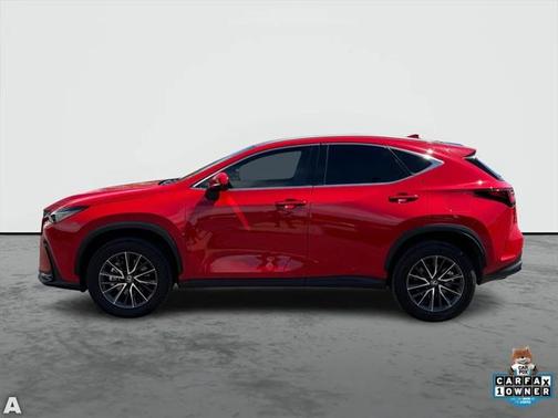2024 Lexus NX 250 Base