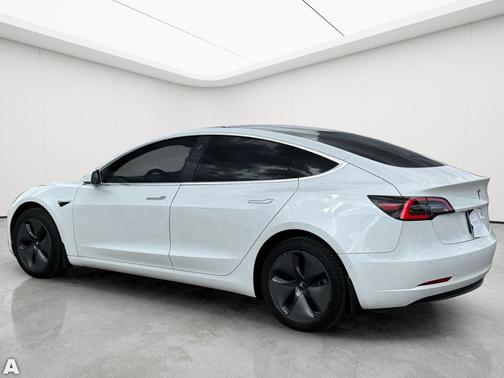Pearl White Multi-Coat 2019 Tesla Model 3 Standard Range