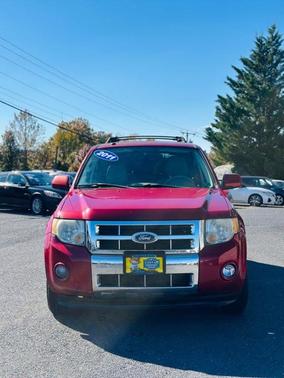 2011 Ford Escape Limited