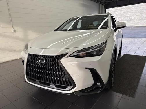 2024 Lexus NX 250 Premium