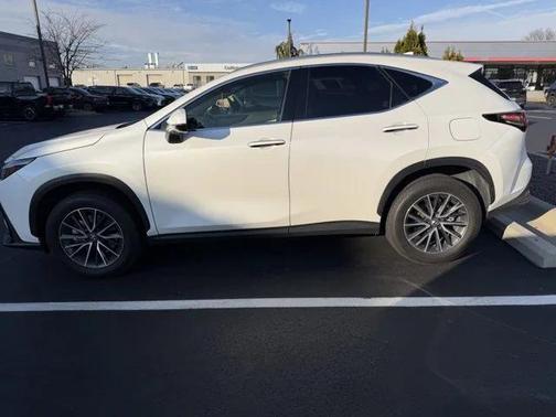 2024 Lexus NX 250 Premium