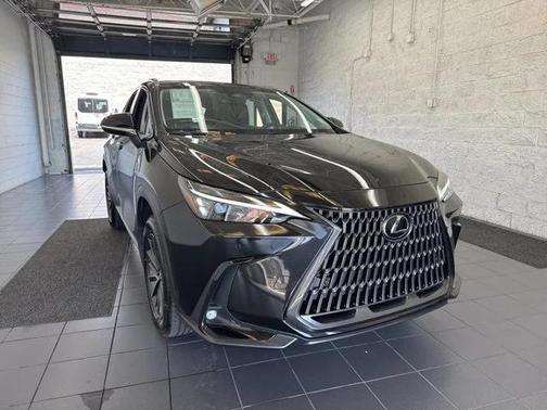 2025 Lexus NX 350 NX 350