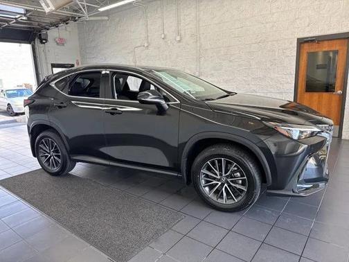 2025 Lexus NX 350 NX 350