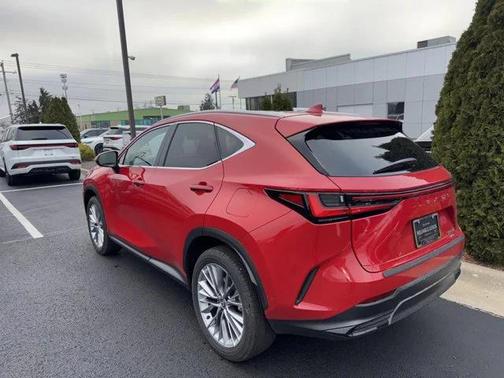 2025 Lexus NX 350h Luxury