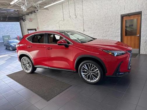 2025 Lexus NX 350h Luxury