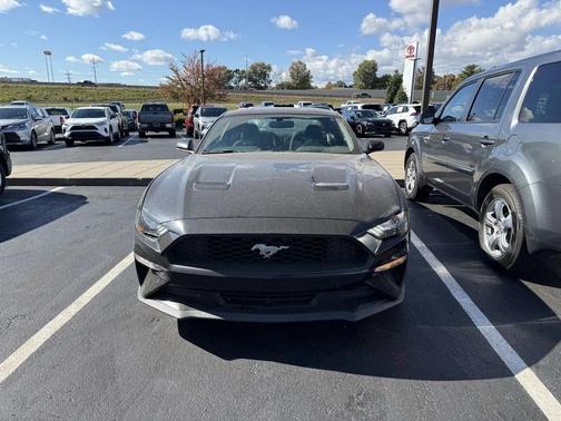 2019 Ford Mustang EcoBoost