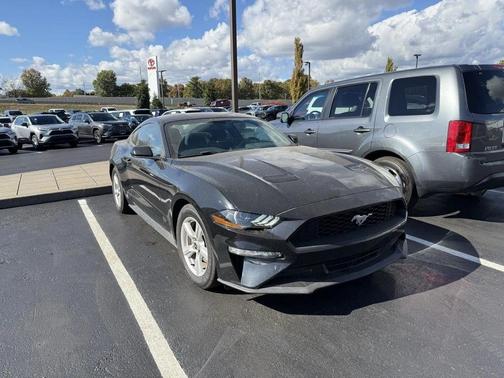 2019 Ford Mustang EcoBoost