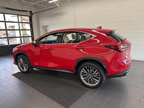 2025 Lexus NX 350h Luxury