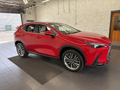 2025 Lexus NX 350h Luxury