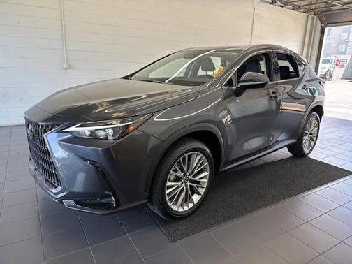 2025 Lexus NX 350 Premium