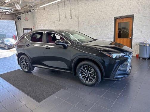 2024 Lexus NX 350h AWD