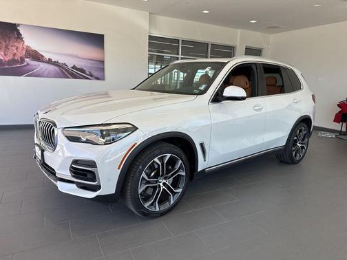 Mineral White Metallic 2023 BMW X5 xDrive40i